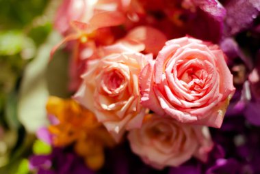 Bir buket taze gül, parlak bir arka plan..