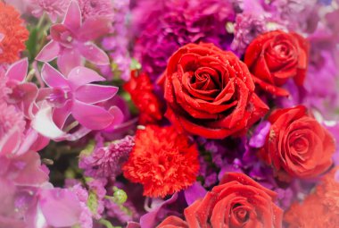 Bir buket taze gül, parlak bir arka plan..