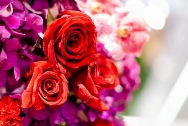 Bir buket taze gül, parlak bir arka plan..