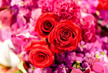 Bir buket taze gül, parlak bir arka plan..