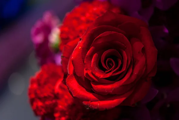 Csokor Friss Rózsa Virág Fényes Háttér — Stock Fotó
