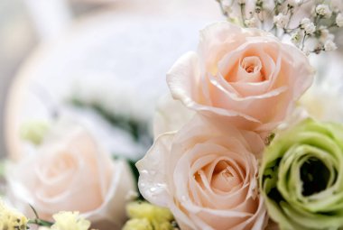 Bir buket taze gül, parlak bir arka plan..