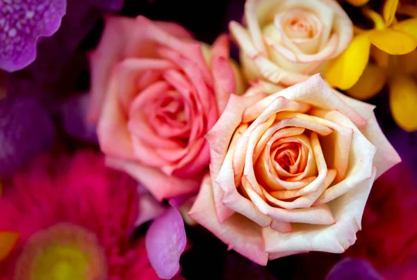 Bouquet Fresh Roses Flower Bright Background — Stock Photo, Image