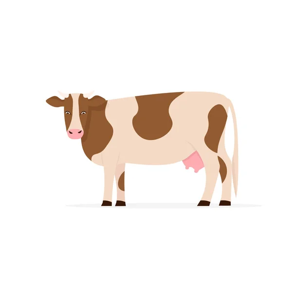 Cow isolated white background — Stock Vector