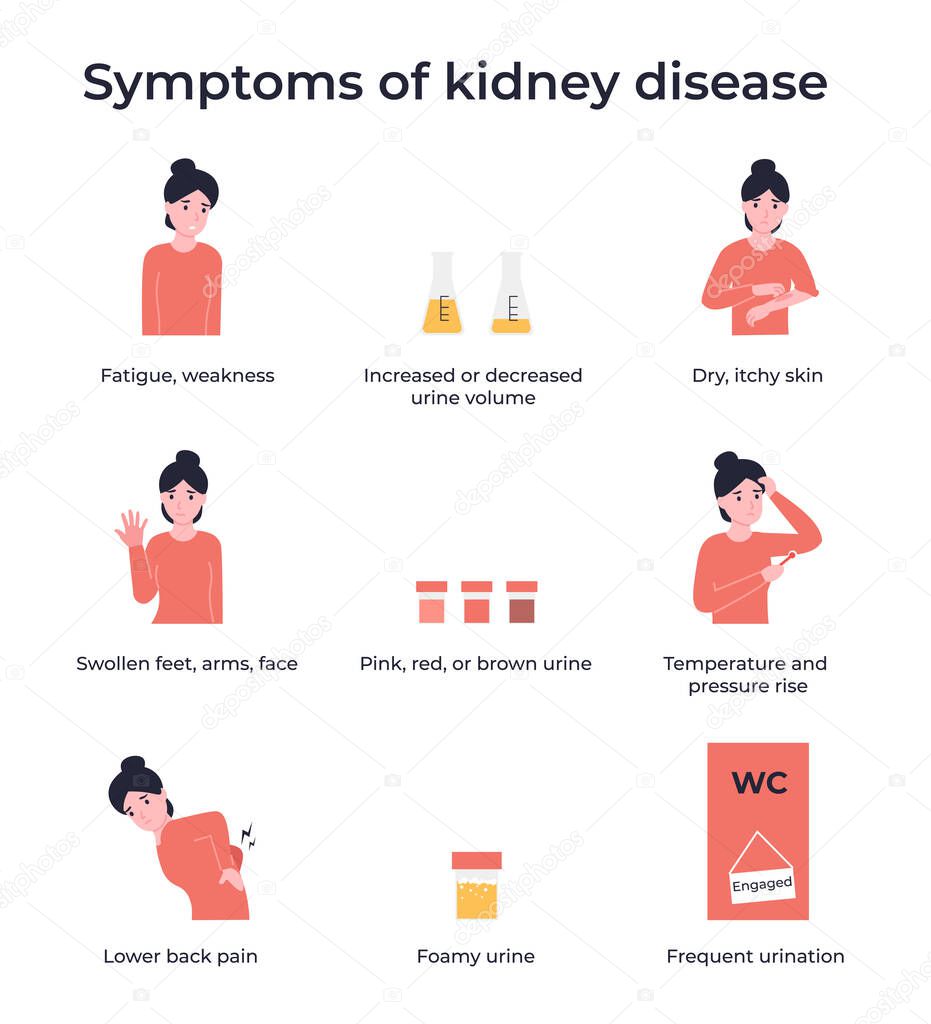 Set symptoms of kidney disease. Flat vector cartoon modern illustration.