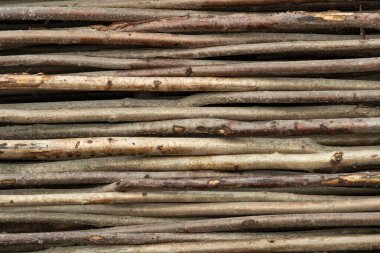 Genç ağaçların yatay ince gövdeleri. Doğal arkaplan