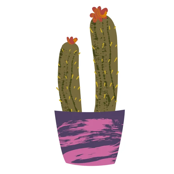 cactus illustration in the pot  on background