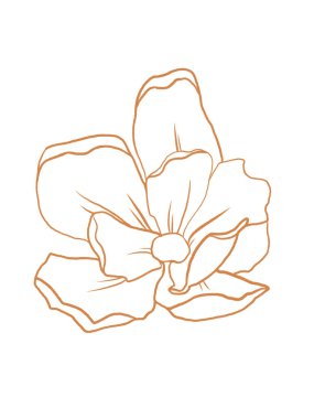 Modern illüstrasyon, beyaz arkaplanda izole edilmiş çiçek