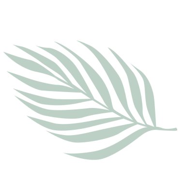 Modern illüstrasyon, beyaz arkaplanda izole edilmiş yeşil tropikal yaprak