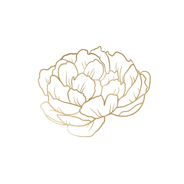 Golden Flower Isolerad Vit Bakgrund — Stockfoto