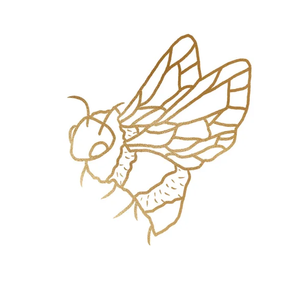 Zlatá Včela Izolované Bílém Pozadí — Stock fotografie