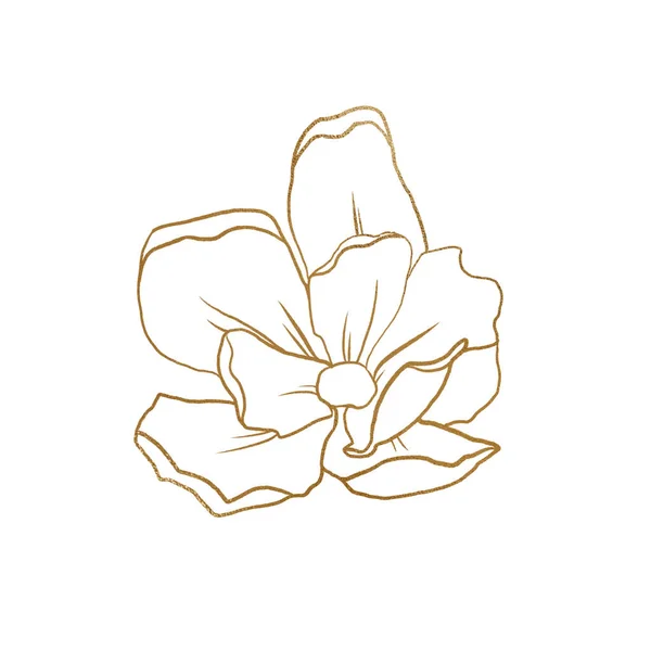 Flor Dourada Isolada Sobre Fundo Branco — Fotografia de Stock