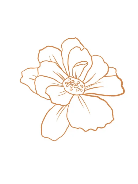 Moderní Ilustrace Květiny Izolované Bílém Pozadí — Stock fotografie