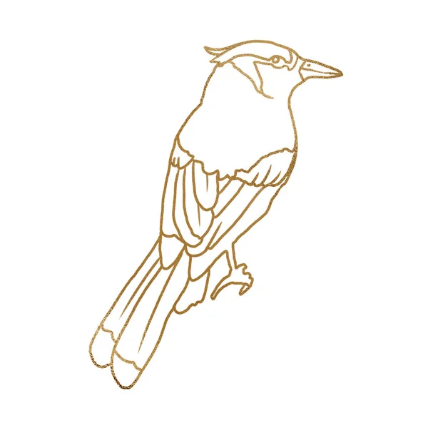 Beyaz Arkaplanda Kuşun Altın Çizimi — Stok fotoğraf