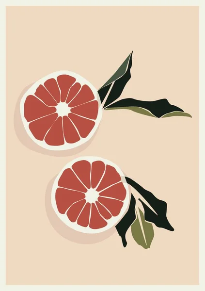 Moderní Ilustrace Půlené Grapefruity Listy — Stock fotografie