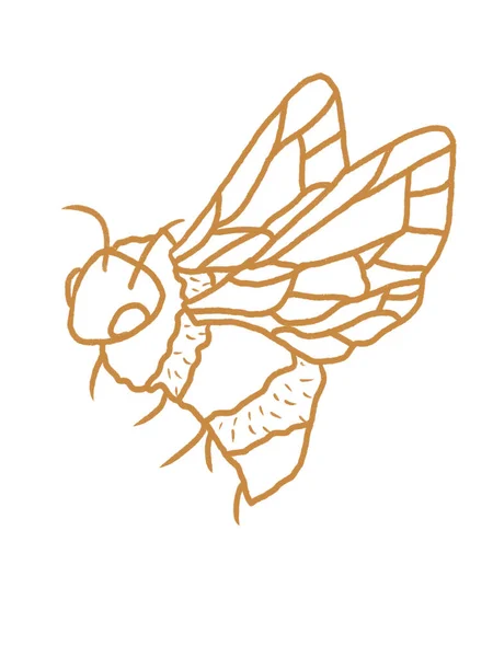 Σύγχρονη Απεικόνιση Μέλισσα Απομονώνονται Λευκό Φόντο — Φωτογραφία Αρχείου