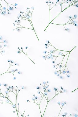 Mavi çingene çiçeklerinin güzel çiçek arkaplanı.