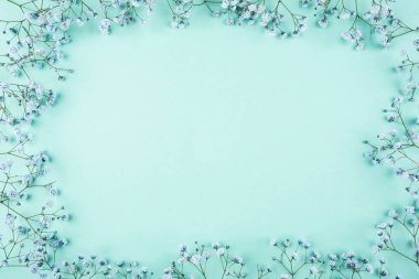 Mavi çingene çiçeklerinin güzel çiçek arkaplanı.