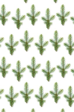 Beyaz arka planda izole edilmiş bir köknar dalının Noel deseni.