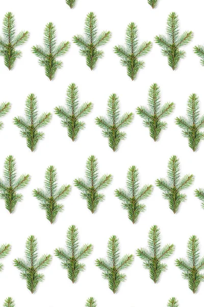 Christmas pattern of a branch of fir isolated on white background. — Stock Photo, Image