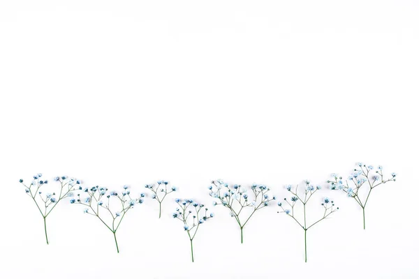 Piękny kwiat tło niebieskich Cyganów kwiaty. — Zdjęcie stockowe