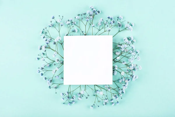 Hermoso fondo de flores de gypsophila azul . — Foto de Stock