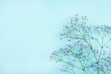 Mavi çingene çiçeklerinin güzel çiçek arkaplanı.