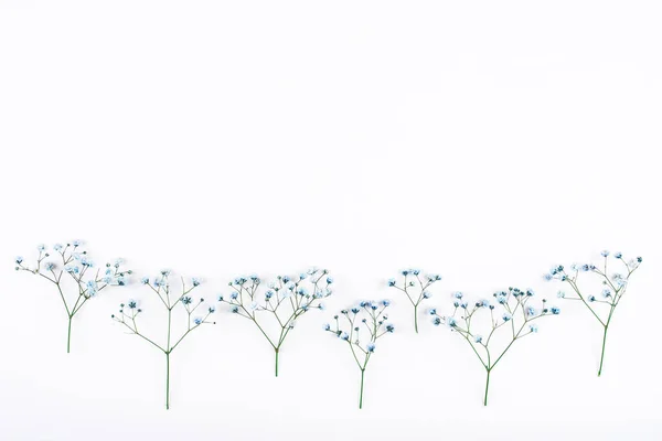 Красивий квітковий фон з синіх квітів гіпсофіли . — стокове фото