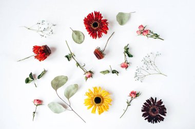 Kuru çiçek deseni beyaz arkaplanda izole edildi.