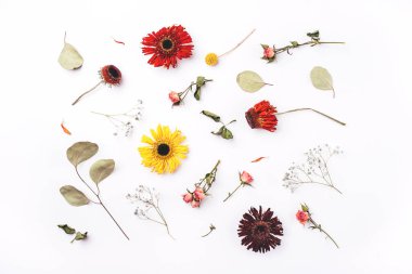 Beyaz arkaplanda kuru çiçek deseni.