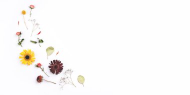 Beyaz arkaplanda kuru çiçeklerin bileşimi.