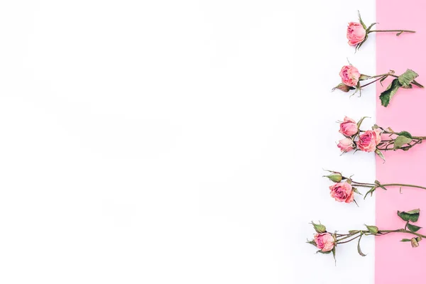 Marco de flores de rosas secas sobre fondo blanco y rosa . — Foto de Stock