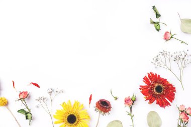 Beyaz arkaplanda kuru çiçek çerçevesi.