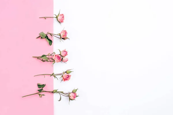 Marco de flores de rosas secas sobre fondo blanco y rosa . — Foto de Stock