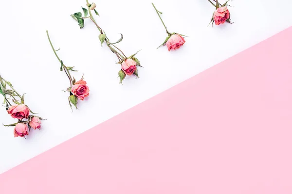 Marco de flores de rosas secas sobre fondo blanco y rosa . — Foto de Stock