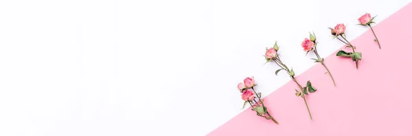 Marco de flores de rosas secas sobre fondo blanco y rosa . — Foto de Stock