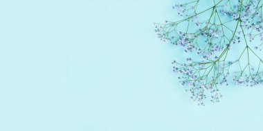 Mavi çingene çiçeklerinin güzel çiçek arkaplanı.