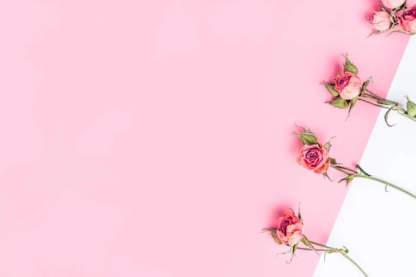 Marco de flores de rosas secas sobre fondo blanco y rosa . — Foto de Stock