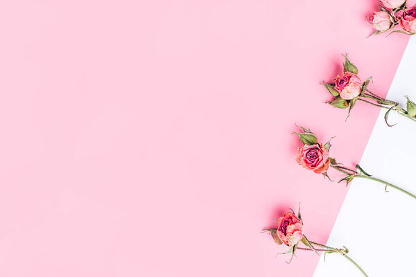 Рамка из сушеных розовых цветов на белом и розовом фоне
.