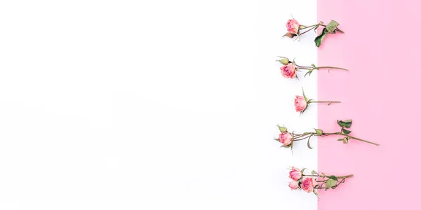 Marco de flores de rosas secas sobre fondo blanco y rosa . — Foto de Stock