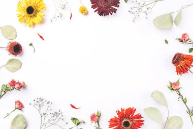 Beyaz arkaplanda kuru çiçek çerçevesi.