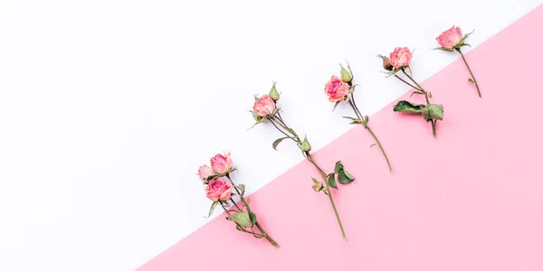 Marco de flores de rosas secas sobre fondo blanco y rosa . — Foto de Stock