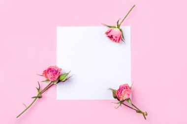 Beyaz ve pembe arka planda kurumuş gül çiçekleri.
