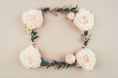 Bej bir arka planda gül çiçekleri ve okaliptüs dalları çerçevesi.