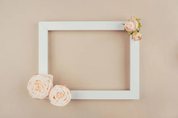 Frühling im Hintergrund. Rosenblüten und weißer Rahmen auf beigem Hintergrund. — Stockfoto