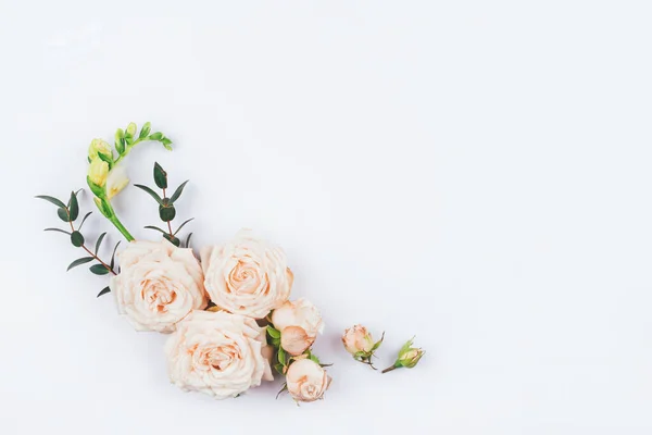 Composición de flores de rosas y ramas de eucalipto sobre un fondo blanco . — Foto de Stock