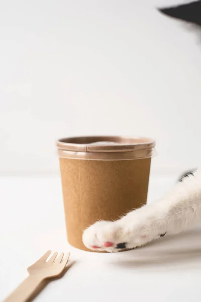 A disposable container and a wooden fork for food delivery. — Stock Photo, Image