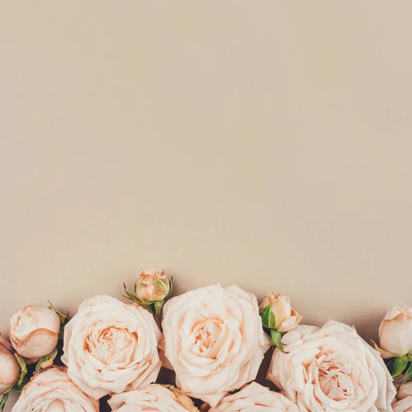Fondo de primavera. Flores de color rosa sobre fondo beige. — Foto de Stock