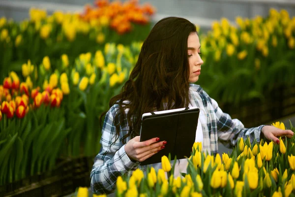 Girl worker, Beautiful young smiling girl with tablet, worker with flowers in greenhouse. Concept work in the greenhouse, flowers. Copy space  stock image