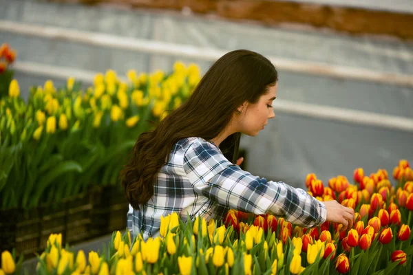 Girl worker, Beautiful young smiling girl with tablet, worker with flowers in greenhouse. Concept work in the greenhouse, flowers. Copy space  stock image